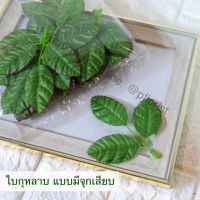 ใบกุหลาบผ้าเสมือนจริง แบบมีจุกเสียบ แพ็ค 20 ใบ (สินค้าพร้อมส่ง มีบริการเก็บเงินปลายทาง)