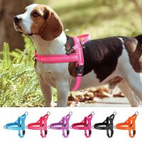 Nylon Reflective Dog Harness No Pull Puppy Dogs Harnesses Vest Adjustable Pet Training Vests For Small Medium Dogs Pug Bulldog Collars