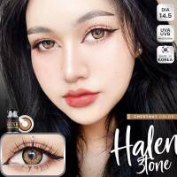 Hale 3 Tone Brown (1)(2) Hale3Tone Halen บิ๊กอาย สีน้ำตาล ทรีโทน น้ำตาล ✨Wink Lens ✨Contact Lens ค่าสายตา สายตาสั้น แฟช