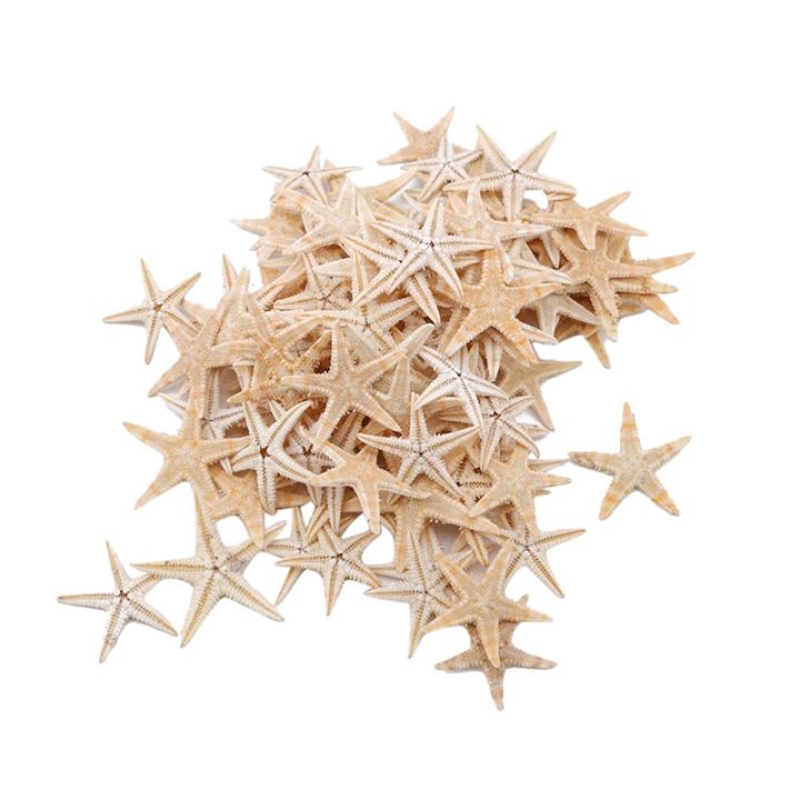 100pcs-natural-starfish-seashell-beach-craft-natural-sea-stars-diy-beach-wedding-decoration-crafts-home-decor-1-5cm