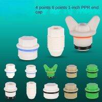 4/6 Points PPR Outer Wire Plug 20/25/32 with Seal Ring Free Teflon Tape Outer Tooth Plug Pipe Plug Pipe Accessories 2 Pcs