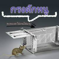 กรงดักหนู ที่ดักหนู Mouse cage กรงดักแมว แข็งแรง ทนทาน กับดักกระรอก กระแต กรงหนู กรงดักหนูนา  สแตนเลส ขนาด 27*15*11 cm.