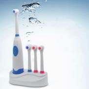 Oral Hygiene Rotary Electric Toothbrush Waterproof Tooth Whitening