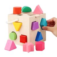 Thirteen-hole Wooden Montessori Toys Geometric Shapes Matching Learning Education Building Blocks Puzzle Toy For Baby 1 Year Old Wooden Toys