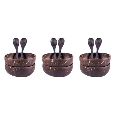 12x Coconut Bowls and Wooden Spoons for Serving Noodle,Pasta,Smoothie,Porridge,Handicraft Decoration Coconut Shell Bowl