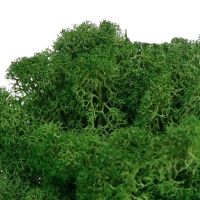 【hot】 20g Artificial Moss  Garden Decoration Wall Material Landscape Accessories