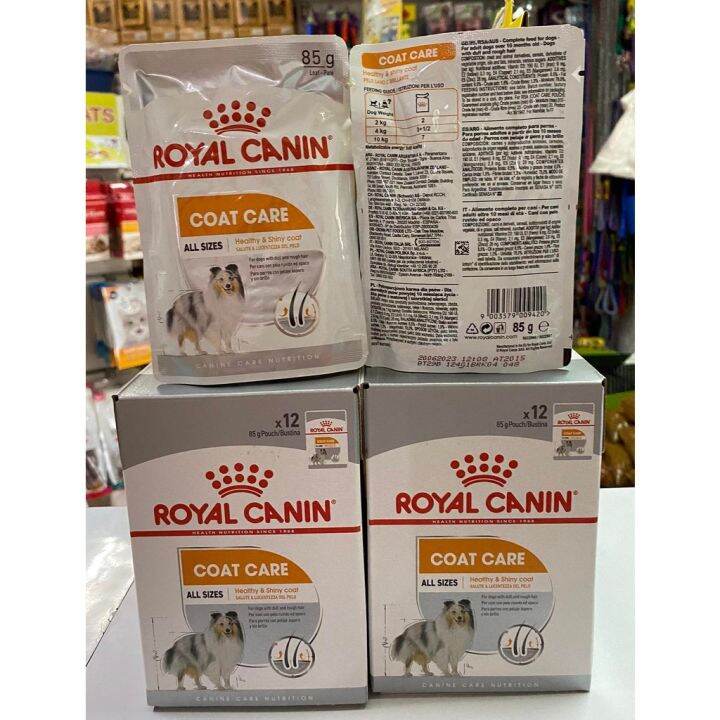 Royal Canin Coat Care Wet Dog Food 85g Pouch (1dozen) Lazada PH