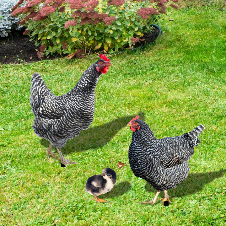 fuchun-3ชิ้นเดิมพันไก่เหมือนจริงครอบครัวไก่รูปปั้นสวนสวนศิลปะชนบทเครื่องตกแต่งภายนอกสวนสนามหลังบ้านของตกแต่งบ้านไร่