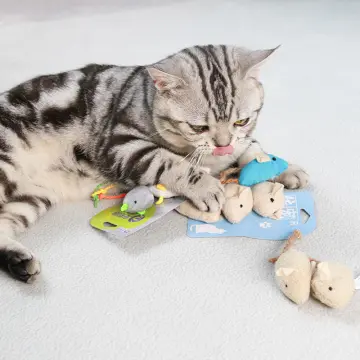 Best kitten clearance chew toys