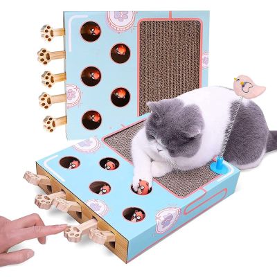 【Ewyn】 กล่องแมวงง 2 in 1 ที่ลับเล็บแมว ที่ฝนเล็บแมว ของเล่นแมว กล่องแมวตบ รุ่น2in1 กล่องลับเล็บ