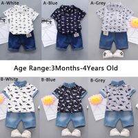 Baby Boys Tshirt + Pants Set