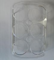 Quality Refrigerator Parts 6 holes Transparent plastic egg case replacement for Haier Universal Fridge 159X95X23MM