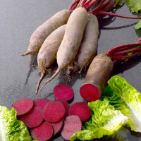 Cylindra Beet (100-150 seeds) หัวบีช ไซลินดรา (100-150 เมล็ด)