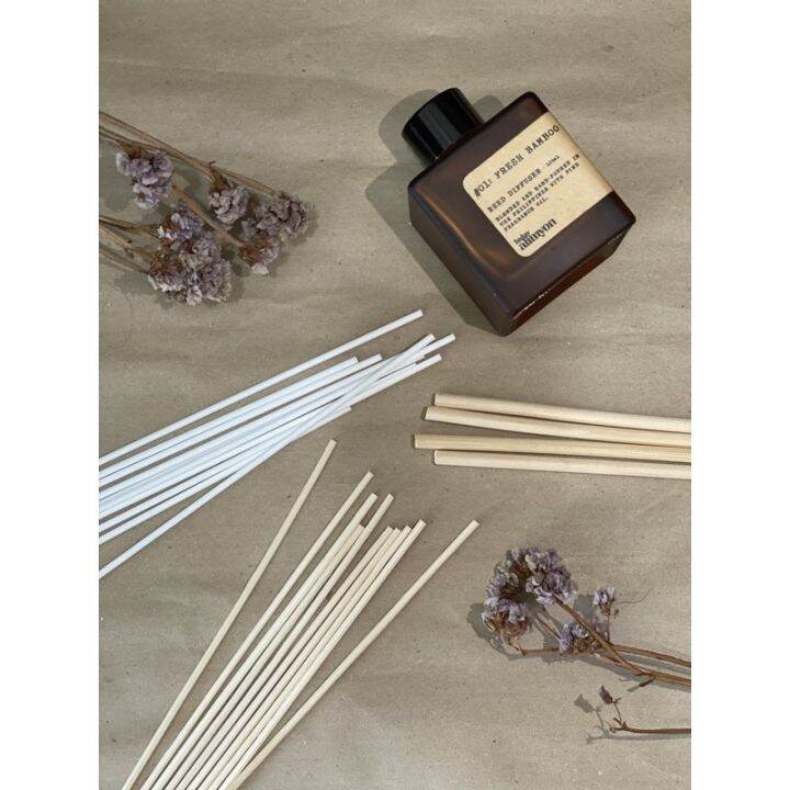 Reed Diffuser Sticks Lazada PH