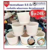 กระถางดินเผา 5.5 นิ้ว สีขาวครีมธรรมชาติ ทรงโมเดิร์น พร้อมจานรอง 6 ชุด 249.-