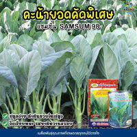 เมล็ดคะน้ายอดคัดพิเศษ แซมซั่น98 Kale Special Selection ตราภูเขาทอง เมล็ดคะน้ายอด เมล็ดพันธุ์คะน้ายอด เมล็ดคะน้า เมล็ดผักสวนครัว เมล็ดพันธุ์ผัก