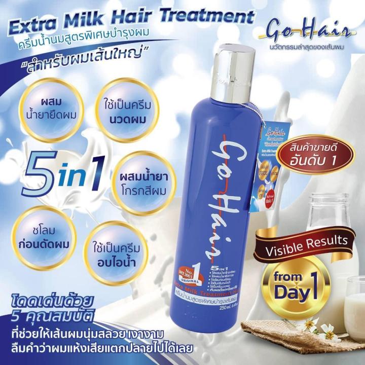go-hair-extra-milk-treatment-hair-250ml-ครีมน้ำนมสูตรพิเศษบำรุงเส้นผม