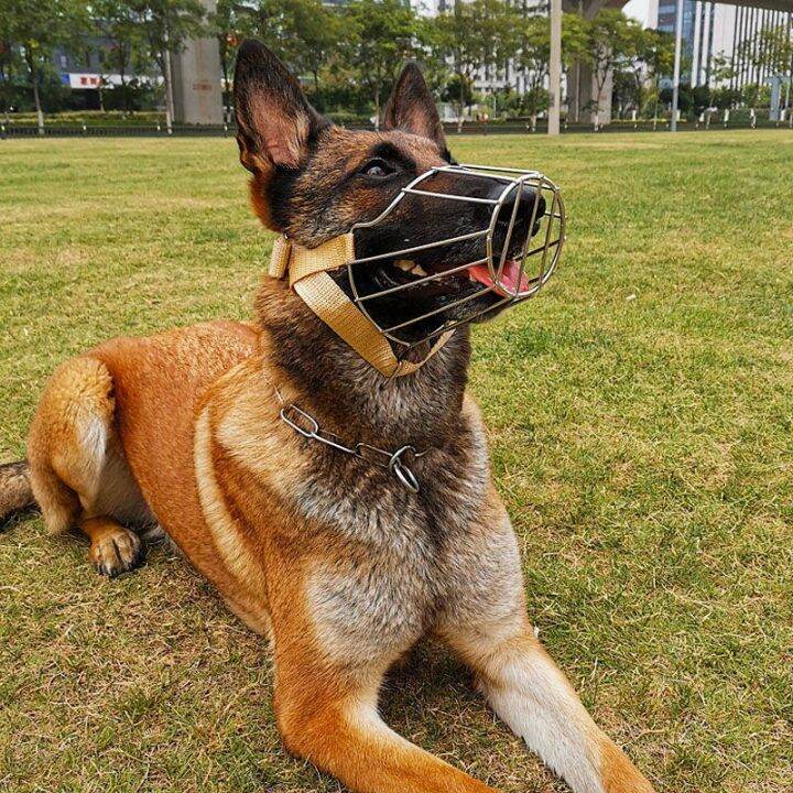* Dog Mouth Protection Malinois German Shepherd Soil Dog Mask Muzzle