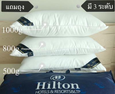 พร้อมส่ง หมอน Hilton ขนาด 500g,800g,1000g หมอนโรงแรม 5 ดาว หมอนสุขภาพนุ่ม ผลิตจากเส้นใยสังเคราะห์คุณภาพดีเยี่ยม ขนาด 45x71x20 cm. Luxury Hotel Quality Feather Pillow Soft Comfort High Pillow