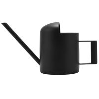 Mini Watering Can, 300 Ml Black Stainless Steel Watering Can, Long-Mouth Plant Watering Can, Suitable for Garden Plants