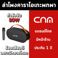 ลำโพงคาราโอเกะพกพา CNM รุ่น P10 พร้อมไมค์โครโฟน 1 ตัว กำลังขับ 30W