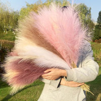 5Pcs Artificial Pampas Grass Dried Reed Flowers Bouquet Fake Plant For Home Room Decor Wedding Flowers Bunch Rabbit Tail Grass