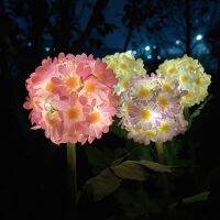 Solar Lamp Outdoor Ball Chrysanthemum Flower Garden Lighting with Waterproof for Vegetable Patch Country House Wedding Decor