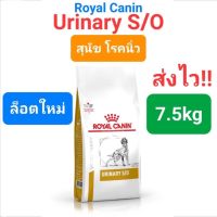 Exp-2024 Royal Canin Urinary s/o สุนัข 7.5kg สำหรับสุนัขโรคนิ่ว นิ่วหมา