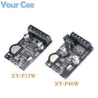 【YF】☞  XY-P15W XY-P40W 10W/15W/20W/30W/40W Stereo Digital Amplifier Board Module 12V/24V