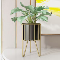 Golden iron flower stand Indoor short Plant shelf living room luxury Balcony floor-standing Desktop pot stand Not include plants