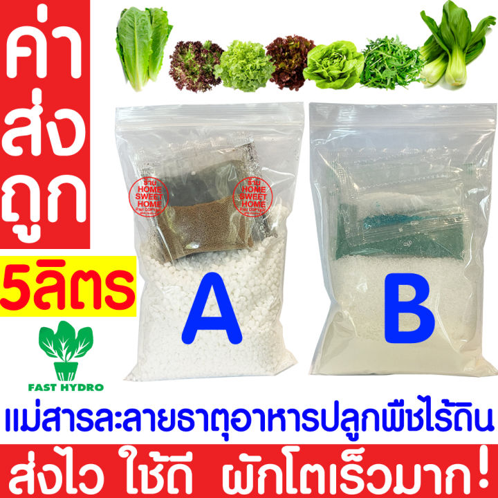 ค่าส่งถูก-สารละลาย-ab-สูตร-5ลิตร-ไฮโดรโปนิกส์-เอบี-ธาตุอาหาร-น้ำ-ผักไฮโดร-hydroponics-สลัด-ผักไทย-ผักกาด-ผักจีน-ปลูกพืชไร้ดิน-ปลูกผักไฮโดร