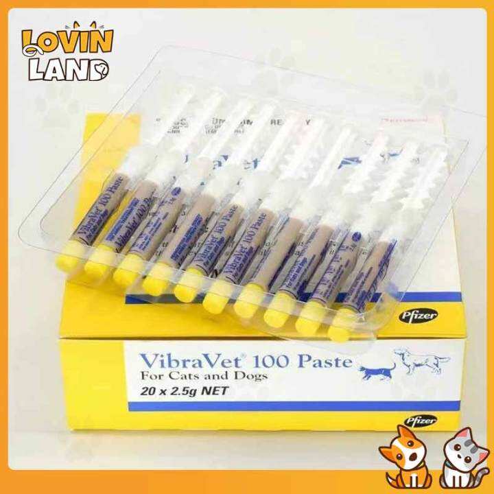 VibraVet 100 Paste Cold Medicine for Pet Cats Dogs Skin Infections