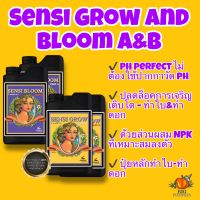 Advanced nutrients pH Perfect Sensi Grow, Bloom A&amp;B ปลดล็อคเพดานการเติบโตช่วงทำใบ,ทำดอก (ปุ๋ยหลัก)