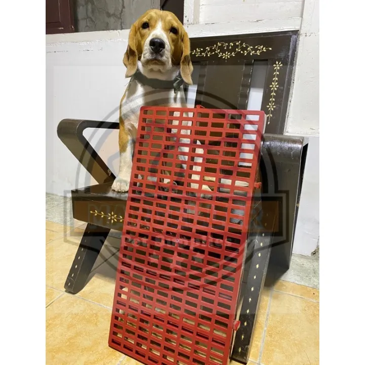 Dog Plastic Matting/ Cage Flooring 1x2 ft Lazada PH