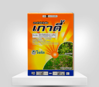 เกาดี้ (Goadi) 50กรัม | โซตัส | สารกำจัดวัชพืชประเภทกก วัชพืชใบกว้าง