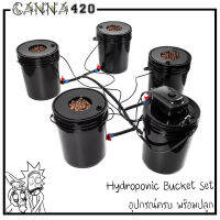 ชุดปลูกครบเซ็ท Hydroponic Grow System Deep Water Culture (DWC) Complete Kit (4 Bucket + Reservoir Kit) full set