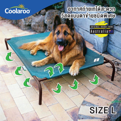 เตียงนอนสุนัข เตียงนอนแมว Coolaroo Pet Bed เสริมสุขภาพ ผ้าตาข่าย รักษาโรคผิวหนังและแผลกดทับ (Size L)