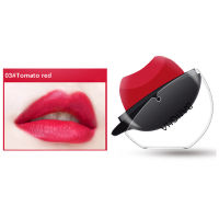 4 Colors Waterproof Matte Lip Glaze Easy to Wear Long-lasting Lipstick Lip Shape Design Lip Tint Charming Lips Makeup Cosmetics