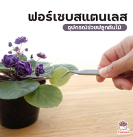 ฟอเซปสแตนเลส Forcep ฟอเซป ปากคีบ อุปกรณ์ช่วยปลูกต้นไม้ แคคตัส กระบองเพชร cactus&amp;succulent