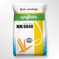 พันธ์ุข้าวโพดลูกผสม NK 6848 เมล็ดเบอร์ 2 พันธุ์ข้าวโพดเลี้ยงสัตว์ ทนแล้ง ปลูกในนาได้ ไม่เลือกดิน ให้ผลผลิตสูง (ขนาด 10 กก.)