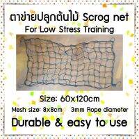 ตาข่ายปลูกต้นไม้ Scrog Net สำเร็จรูป สำหรับ Plant stress training (ช่องตาข่าย: 8x8cm) ขนาด: 60x120, 70x70, 100x100, 120x120, 150x150 cm จัดส่งจากไทย Trellis Net