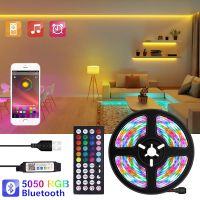 【LZ】 1-5M LED Strip Light USB Bluetooth 5050 RGB Light SMD DC5V Flexible LED Lamp Tape Ribbon TV Desktop Screen BackLight Diode