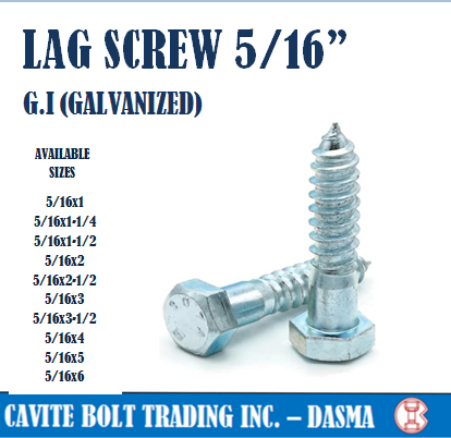 LAG SCREW (G.I / GALVANIZED) 5/16