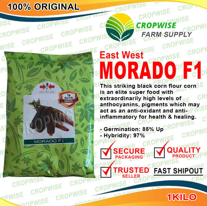 East West Morado F1 1 Kilo | Lazada PH