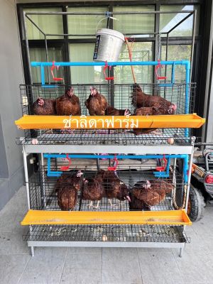 กรงไก่ไข่พร้อมขากรงแบบ2ชั้น พร้อมถาดรองขี้ไก่ ใส่ไก่ได้18ตัว เหล็กชุบEDPกันสนิมสีดำ กรงตับไก่ไข่ 2ชั้น