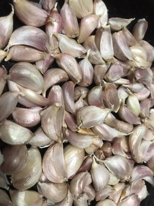 กระเทียม-ขนาด-100-กรัม-fresh-garlic-กระเทียมไทย-แกะแล้ว-สุดยอดกระเทียมจากอำเภอฝาง-จังหัวดเชียงใหม่
