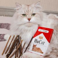 Cat Toys Catnip Chew Toys Funny Cigarette Design Cat Molar Toothpaste Stick Natural Actinidia Silvervine Pet Cat Cleaning Teeth Toys