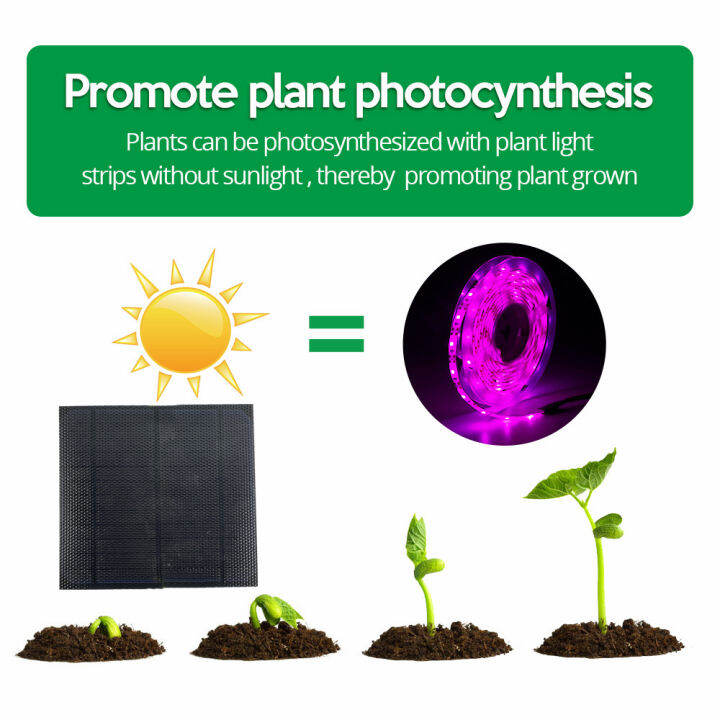 5m-2835-led-แบบ-smd-พลังงานแสงอาทิตย์-full-spectrum-phyto-ดอกไม้สำหรับผักต้นกล้า