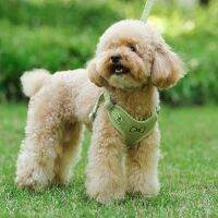 Dog Harness Lovely Pet Lead Walking Running Leashes Dog Traction Rope Adjustable Chest Straps Vest Type Collars For Small Dogs