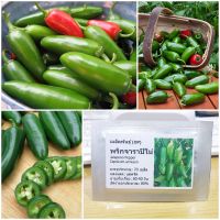 เมล็ดพันธุ์ พริกจาราปิโน่ Jalapeno Pepper Seed 70 เมล็ด ของแท้ เมล็ดพันธุ์พืช ผักสวนครัว เมล็ดพันธุ์ผัก